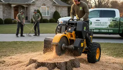 Professional stump removal service in Milwaukee, WI clearing tree stumps from residential yard