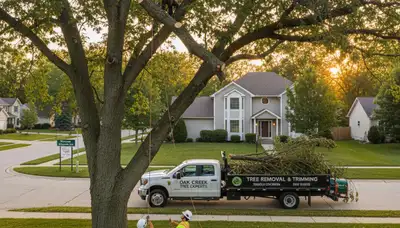 Professional tree removal service in Milwaukee WI safely clearing residential trees